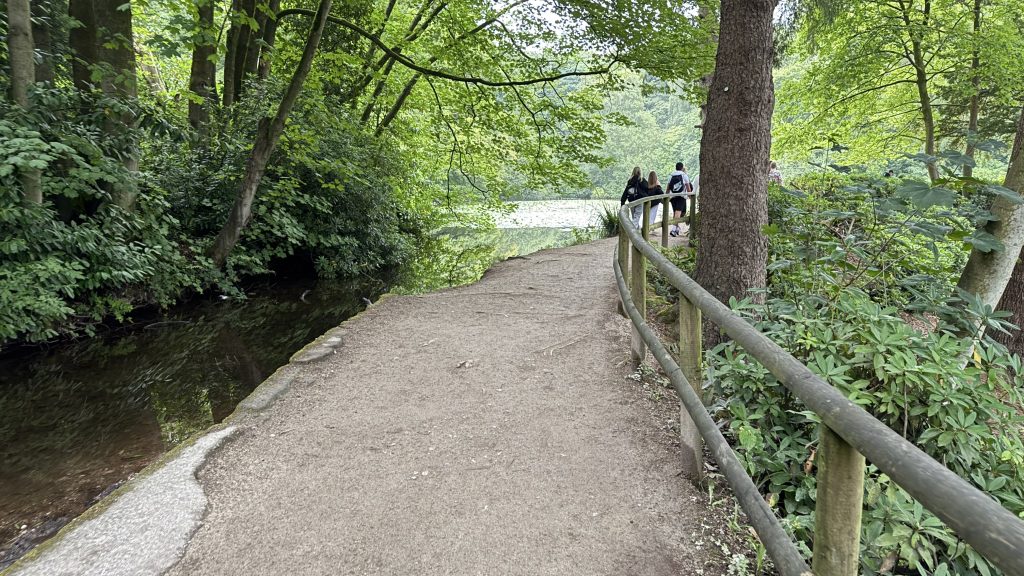 A walkway surrounded by trees with a river to the left and a lake in the distance.